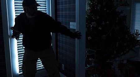 'The night before Santa was due, burglars invaded our safe space like human cockroaches'