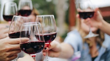 How drinking small amounts of wine daily could be good for your heart, according to new Spanish study