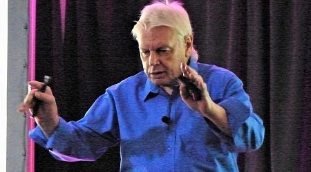 Court upholds conspiracy theorist David Icke's Schengen ban for third year