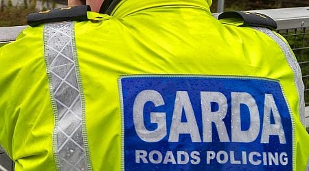 Pedestrian (60s) dies in Co Meath after being struck by car