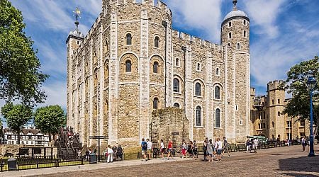 British under fire over claim Henry VIII cannons smuggled from Irish waters into Tower of London