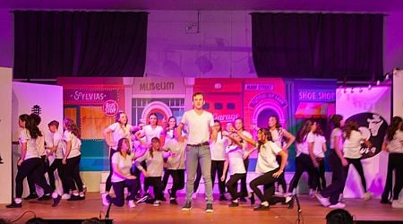 In Pictures: Brilliant Colaiste na Carriage students perfrom All Shook Up