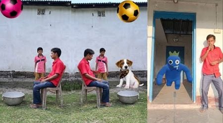 Spining football to kutta,billi,bandor, khargosh,bakhri &amp; monster game over - Funny vfx magic video