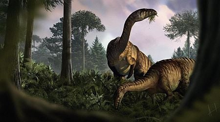 Huge fossil feces and vomit study charts the rise of dinosaurs