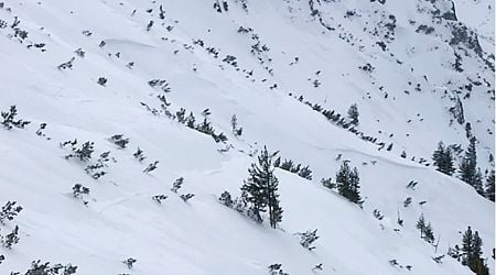 Avalanche warning in the mountains