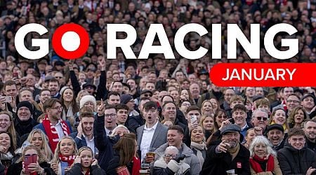 January 2025 Horse Racing Fixtures: Key Race Meetings & Tickets