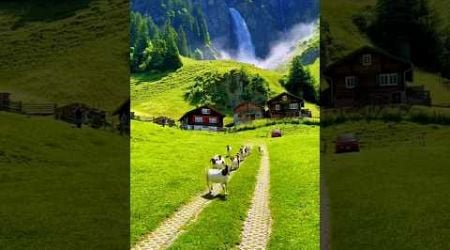 So Beautiful Place On Earth SWITZERLAND #shortvideo #place #travel #nature #zain #shorts#status