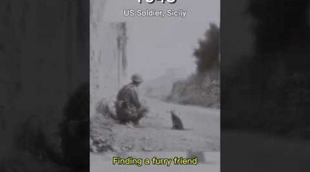 Colorized Footage of a US Soldier in Italy, Sicily During WWII, 81 Years Ago #new #history #video