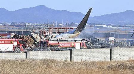 Plane burst into flames after skidding off runway at an airport in South Korea, killing at least 120