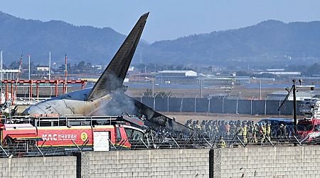 South Korea plane crash: At least 120 killed after aircraft catches fire during landing