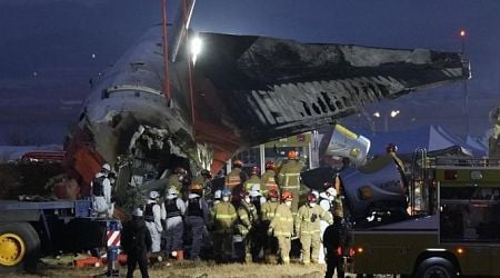 Plane crashes while landing in South Korea, killing 179 people - National