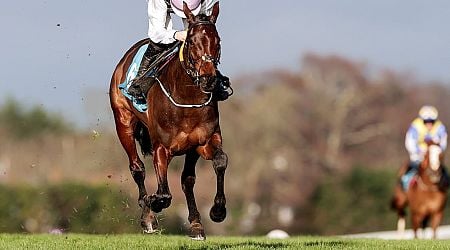 Rachael Blackmore makes winning return from injury with July Flowers at Leopardstown