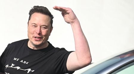 Musk's German election 'meddling' slammed by chancellor candidate