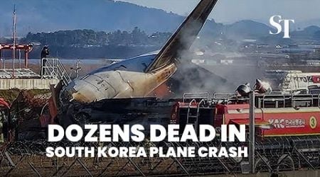 Dozens dead in South Korea plane crash