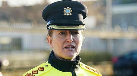 Garda Superintendent calls out 'selfish' drink drivers as eight people die on Irish roads in Christmas period