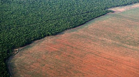 Drought, fires, deforestation battered Amazon rainforest in 2024