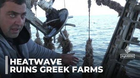 Greece heat: Rising temperatures wipe out agricultural crops