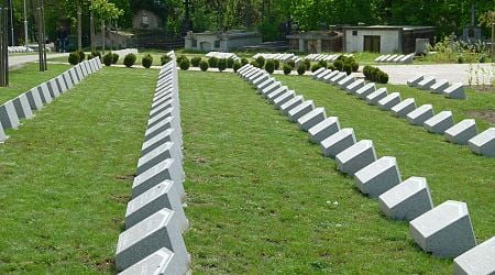 Remains of over 1,200 World War Soldiers Exhumed this Year