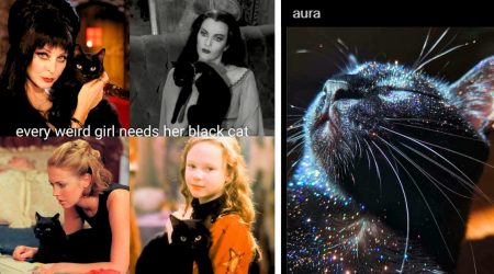 23 Blissful Black Cat Memes Giving Good Luck For the Furbulous Feline Eve of Meow Year's