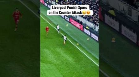 Pure Liverpool brilliance#PremierLeague#Football#MoSalah#Goal#Tottenham HotspurViral #Liverpool #LFC