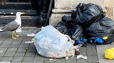 Dublin bin bag ban comes into force in south inner city