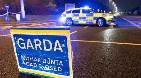 Shifting traffic fatality trends throughout 2024 have experts baffled as 179 killed on Irish roads 