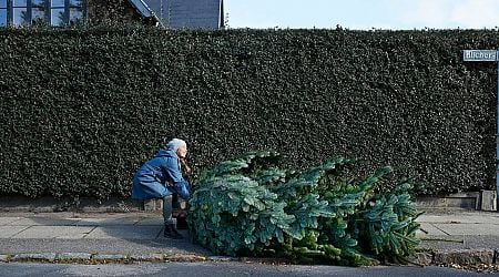 The exact day to take down Christmas tree to keep bad luck away