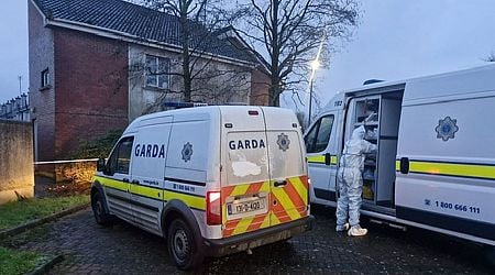 Convicted criminal quizzed over man's death in Wexford