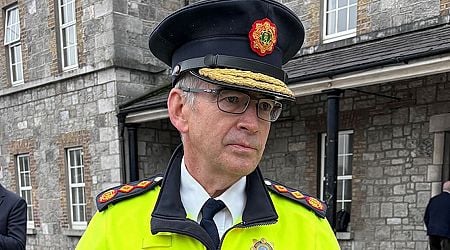 Number of Gardai suspended fell by over 50 per cent in 2024