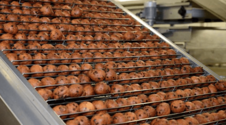 Factory in Sneek produces 30,000 oliebollen per hour to meet holiday demand