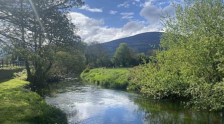 Clogheen hosts Nollaig na mBan walk for cancer charity