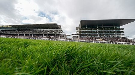 New Year's Day racing goes ahead at Cheltenham and Tramore following inspections