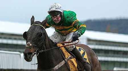 JP McManus-owned horse stuns trainer with New Year's Day performance