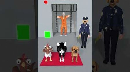 Chicken, Cat cute Vs Dog cute? Which Animal Can Lock Up Prisoners? #cat #dog