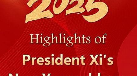 CPPCC holds gathering to ring in the new year, Xi Jinping delivers important speech