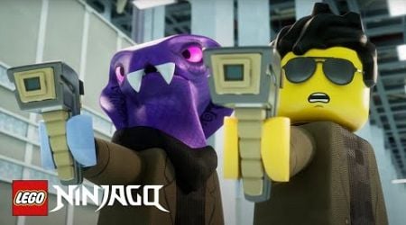 LEGO Ninjago: Dragons Rising - The Administration | WildBrain Fizz | Cartoons for Kids