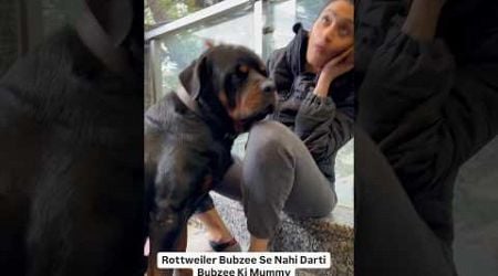 Rottweiler Bubzee Se Kyun Darti Hai Mummy ?? #shorts #dogs #rottweiler #youtubeshorts #namitaology