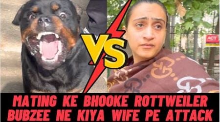 Mate Karne Ke Chakkar Mein Rottweiler Bubzee Ne Kiya Wife Pe Attack | Namitaology