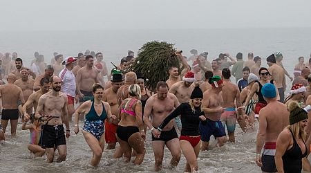 January Madness! Swimmers Take to Frosty Lake Balaton