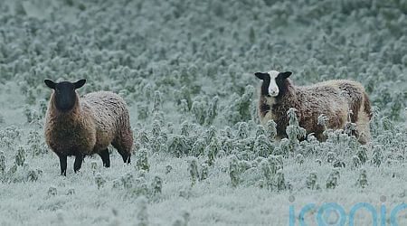 Warning issued with temperatures set to drop to minus three overnight