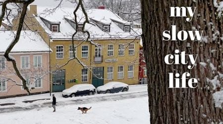 A quiet Oslo Christmas / forest and city walks / slow living vlog / Thoughts on life