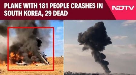 South Korea Plane Crash | Plane With 181 People Veers Off Runway, Crashes In South Korea, 29 Dead