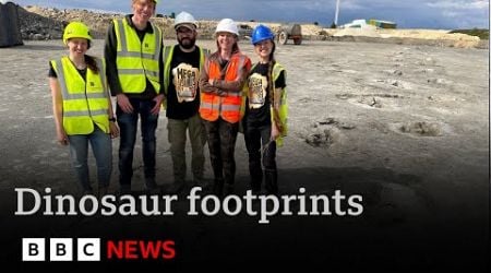 Vast dinosaur footprints found in quarry date back 166 million years | BBC News