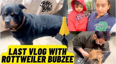 Rottweiler Bubzee Ke Saath Ab Yeh Humaara Last Vlog Hai: Itna Pyaar Dene Ke Liye Thank You Guys !!!