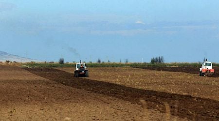 Price of agricultural land in Bulgaria going down amidst instability