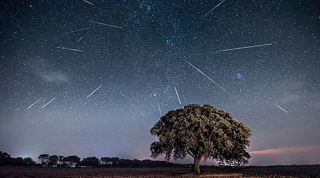 Quadrantids meteor shower: How to catch first dazzling celestial display of 2025 in Ireland