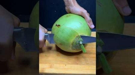 Sharp knife coconut cutting in Switzerland for $9 dollar #cuttingskills #fruit