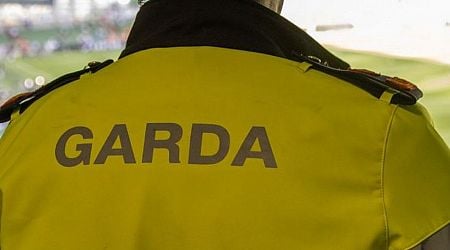 Top Garda suspended over alleged pub incident as GSOC recommends criminal charges