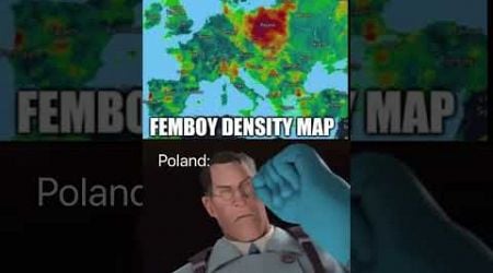 #memes #tf2 #gaming #poland #gamingmemes #funny #humor