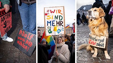 Can the German People Stop the AfD's Far-Right Rise?